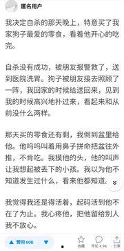 霍总我治好了您的抑郁症